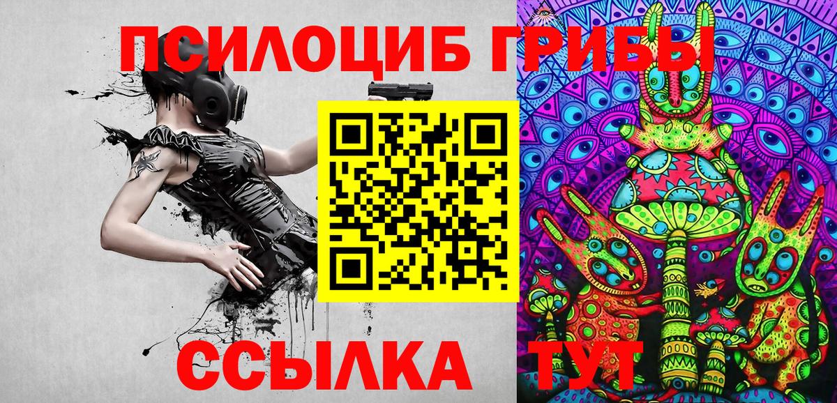 Галлюциногенные грибы прущие грибы Удомля